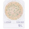 Compact Dry SL para Salmonella Nissui – Caixa com 100 Testes