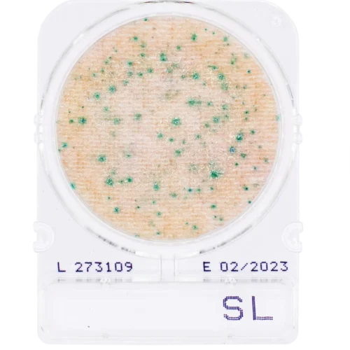 Compact Dry SL para Salmonella Nissui – Caixa com 100 Testes